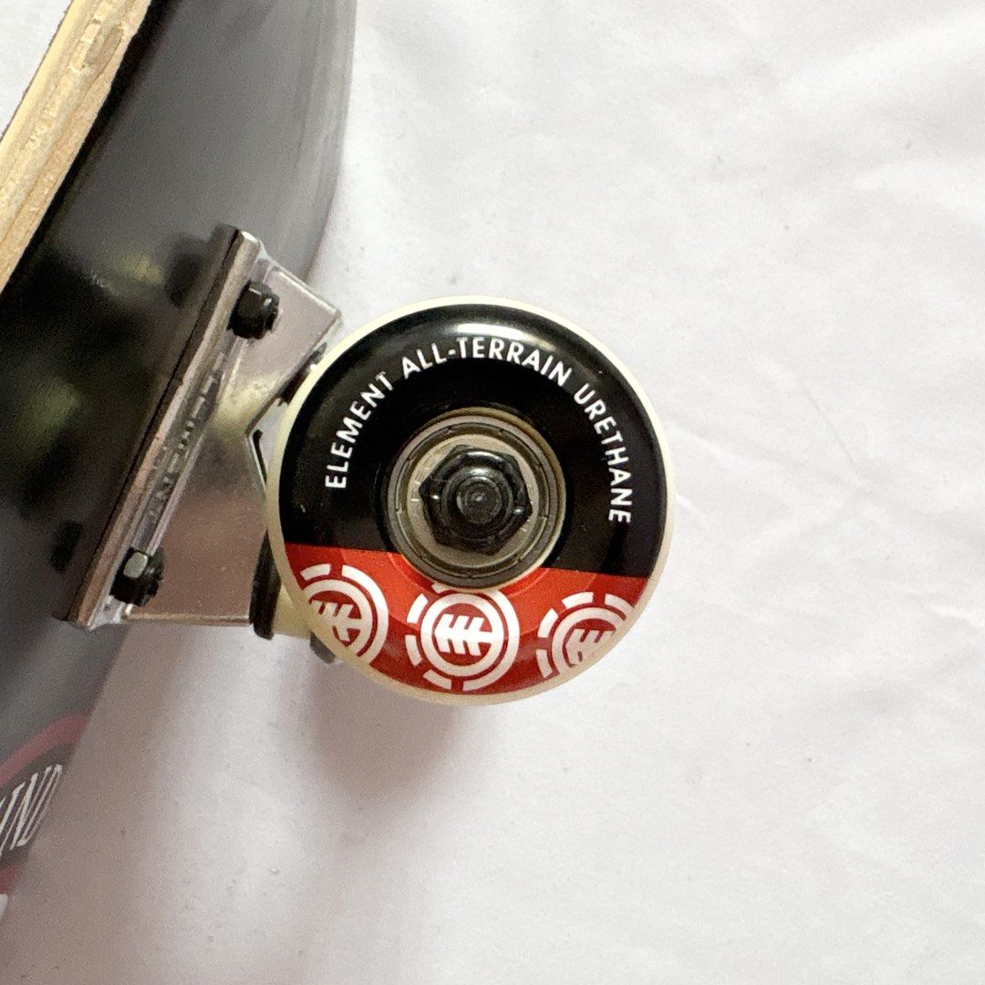 Element “Seal” 7.75” x 31” Skateboard Complete